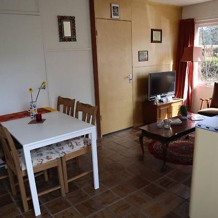 Basic Natuurhuisje Ommen/Beerze Villa Dış mekan fotoğraf