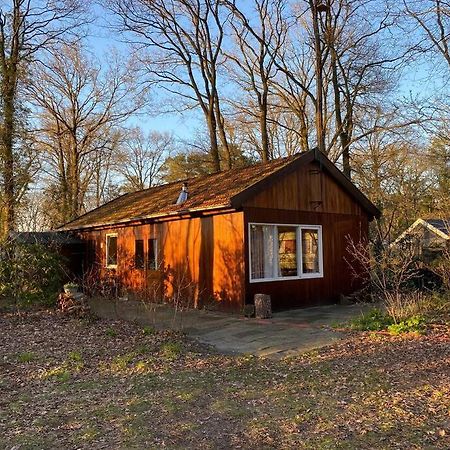 Basic Natuurhuisje Ommen/Beerze Villa Dış mekan fotoğraf