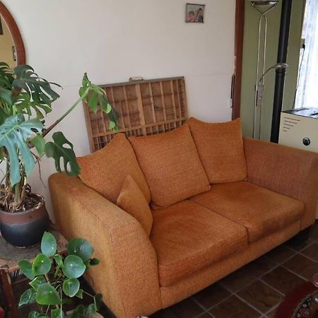 Basic Natuurhuisje Ommen/Beerze Villa Dış mekan fotoğraf
