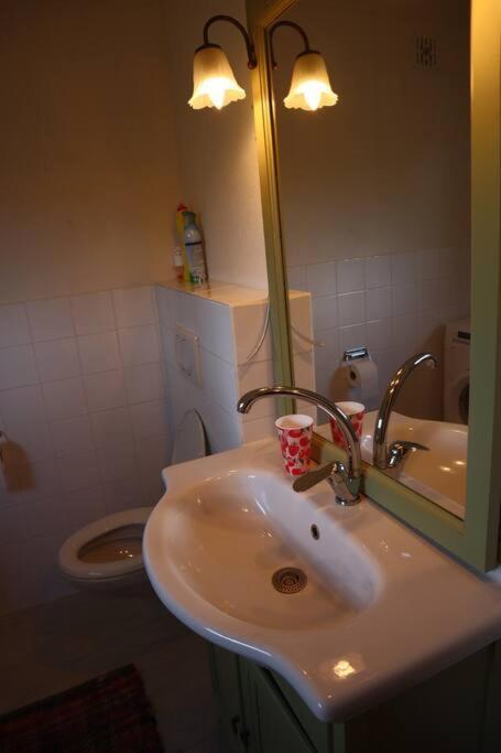 Basic Natuurhuisje Ommen/Beerze Villa Dış mekan fotoğraf
