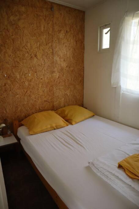 Basic Natuurhuisje Ommen/Beerze Villa Dış mekan fotoğraf