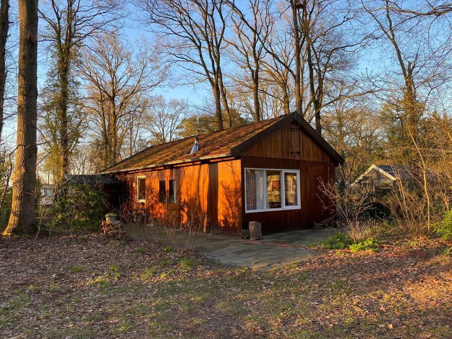 Basic Natuurhuisje Ommen/Beerze Villa Dış mekan fotoğraf