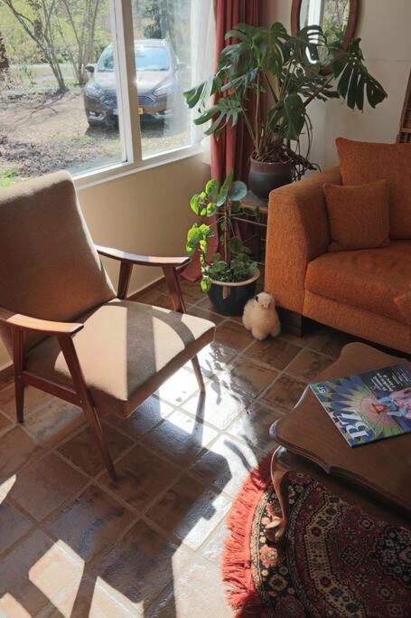 Basic Natuurhuisje Ommen/Beerze Villa Dış mekan fotoğraf